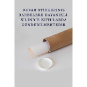 Eğitici Dünya Haritası Dünya Atlası Çocuk ve Bebek Odası Duvar Sticker-60x105-3771