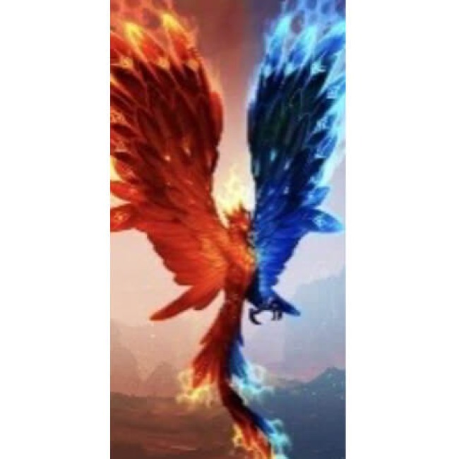 Text