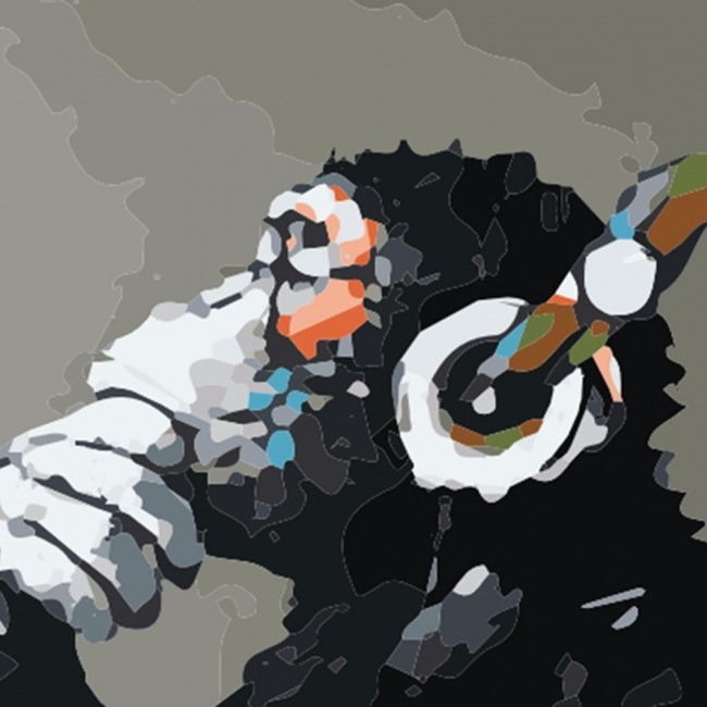 Text