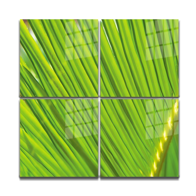 Text