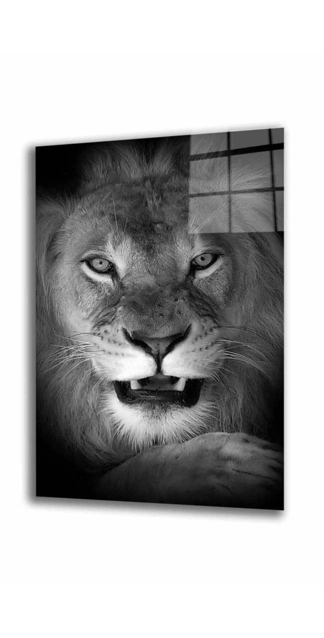 Aslan HayvanCam Tablo