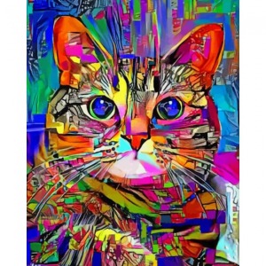  Renkli Kedi 2 Sayılarla Boyama Seti Kasnaklı  40 x 50