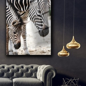 Zebra Cam Tablo