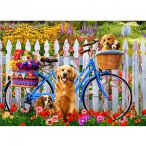  Sevimli Köpekler ve Bisiklet Sayılarla Boyama Seti Kasnaklı  40 x 50