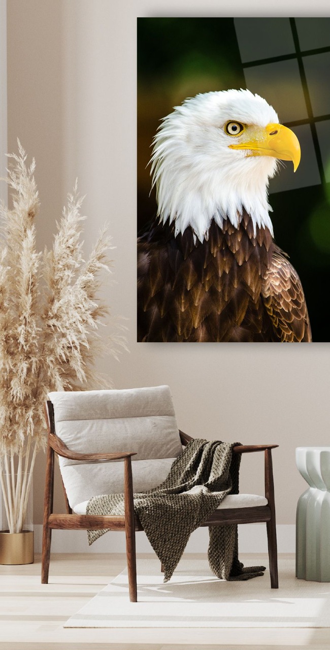 Kartal Dikey Cam Tablo, Modern Ev Ofis Salon Duvar Dekoru, Hediyelik Tablo Dekor