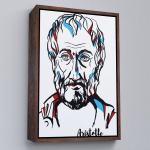 Çerçeveli Türkiye Haritası Kanvas Tablo Eğitici Ve Öretici Dekoratif Tablo Tablo-3120