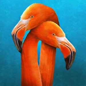  Sarilan Flamingo Sayılarla Boyama Seti Kasnaklı  40 x 50