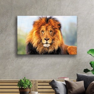 Aslan Hayvan Cam Tablo 4mm Dayanıklı Temperli Cam