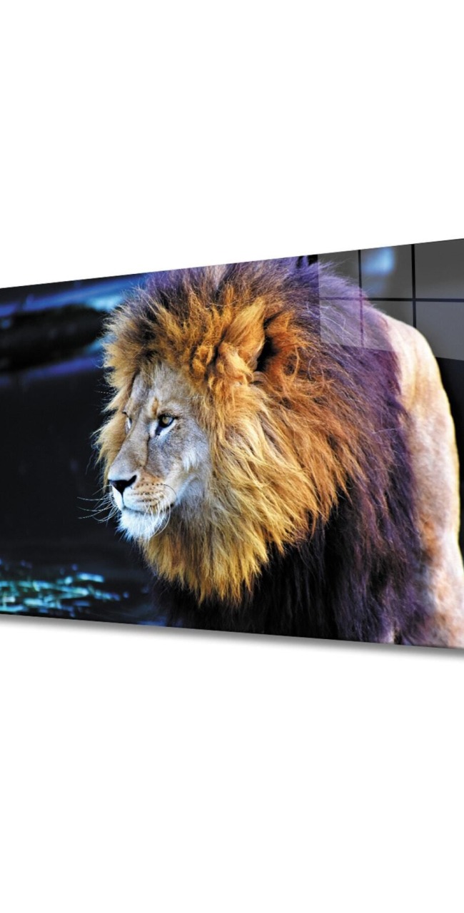 Aslan 2 Cam Tablo