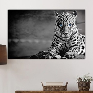 Vahşi Doğada Mavi Gözlü Jaguar Portresi Cam Tablo, Darbelere Dayanıklı Kırılmaz Temperli