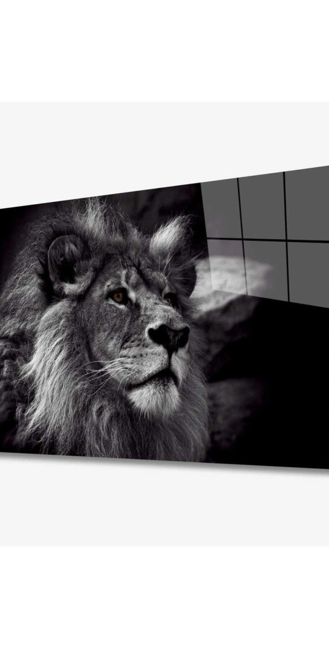 Aslan Hayvan Cam Tablo 4mm Dayanıklı Temperli Cam