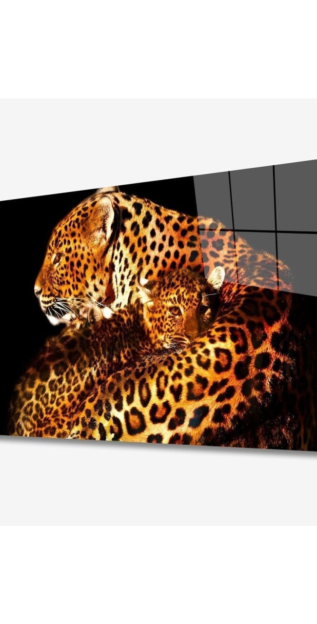 Jaguar Hayvan Cam Tablo 4mm Dayanıklı Temperli Cam