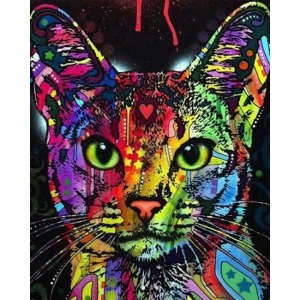  Renkli Kedi 3 Sayılarla Boyama Seti Kasnaklı  40 x 50
