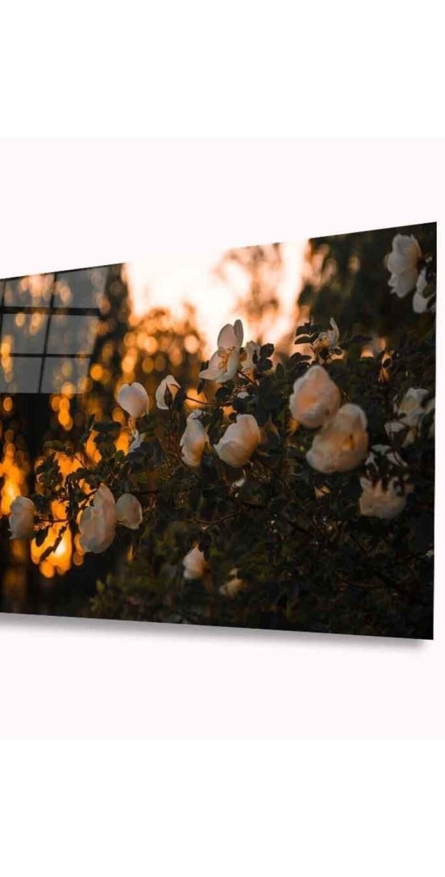 Çiçek Cam Tablo 4mm Dayanıklı Temperli Cam