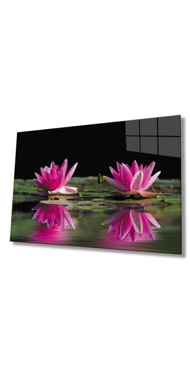 Lotus Çiçeği Cam Tablo 4mm Dayanıklı Temperli Cam 110 X 70