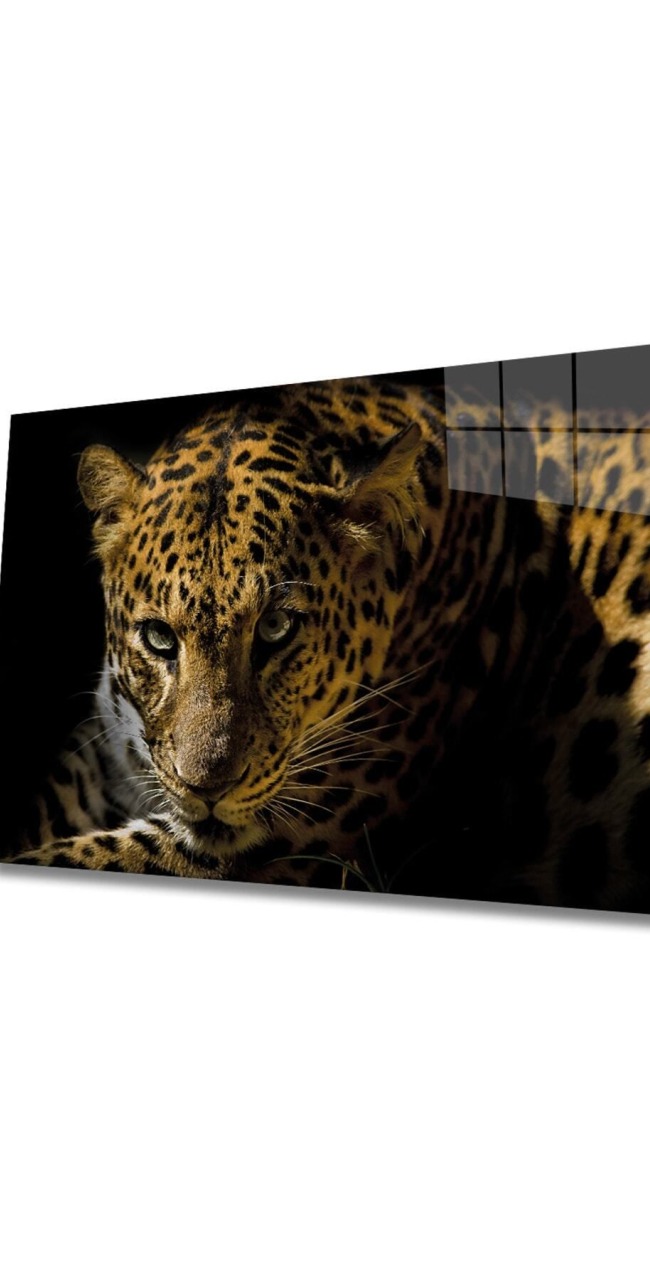 Leopar Hayvan Cam Tablo
