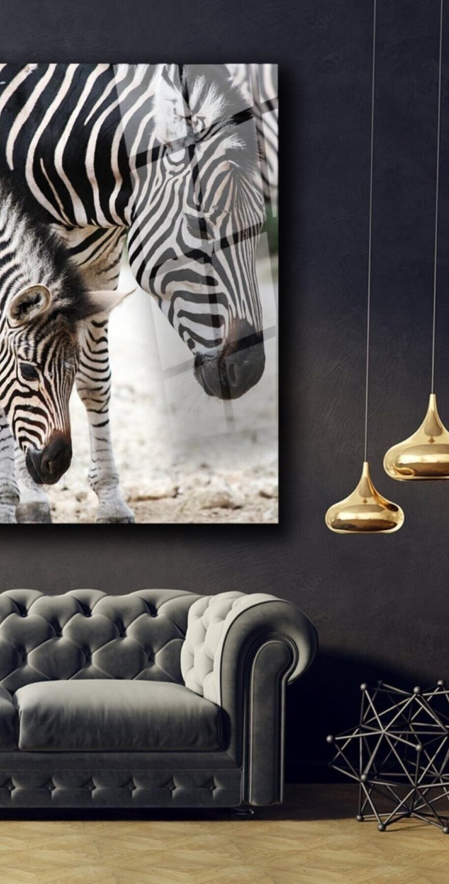 Zebra Cam Tablo
