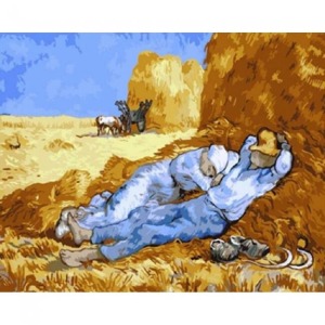  Öğle Uykusu Sayılarla Boyama Seti Kasnaklı  40 x 50