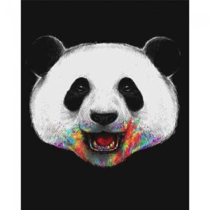  Pandam Renkli Sayılarla Boyama Seti Kasnaklı  40 x 50