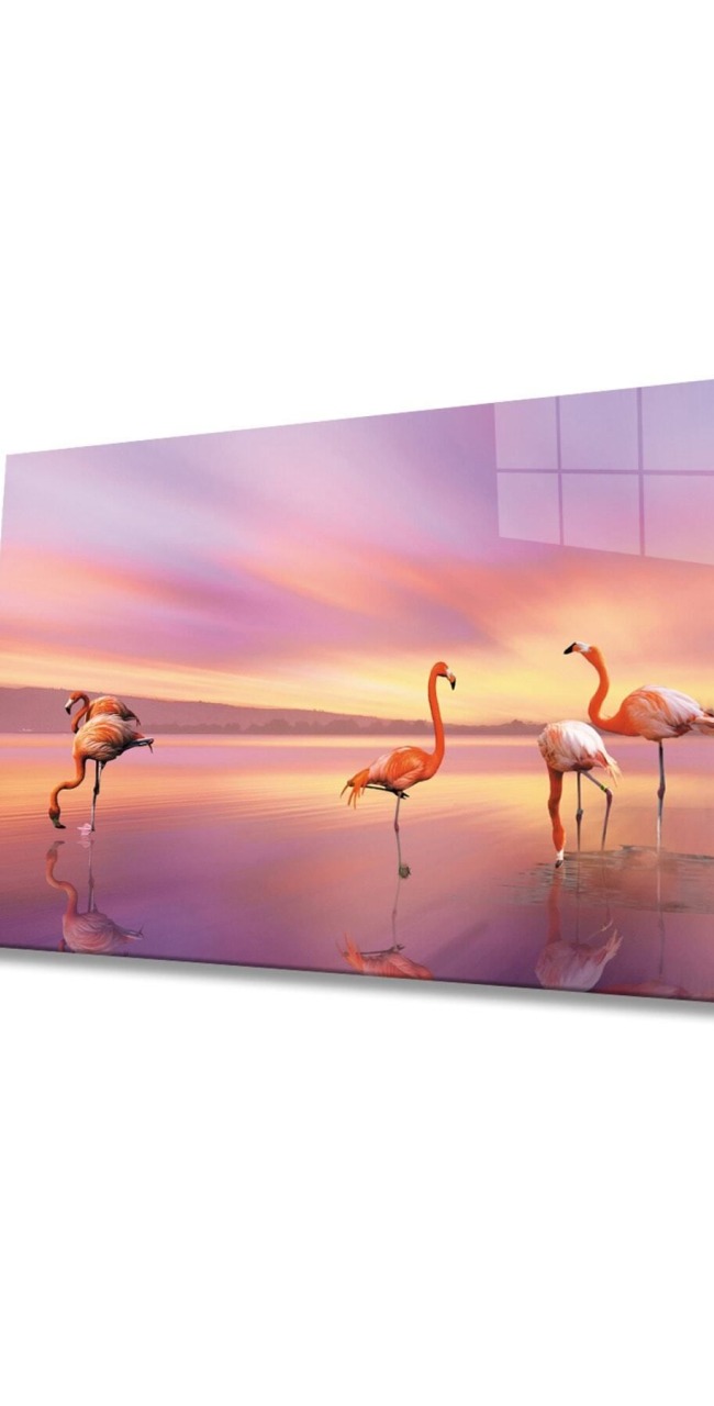 Flamingo Hayvan Cam Tablo 4mm Dayanıklı Temperli Cam