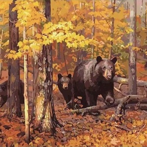  Ayı Ailesi Sayılarla Boyama SetiKasnaklı  40 x 50