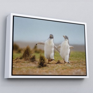 Çerçeveli Mutlu Yavru Penguenler Dekoratif Kanvas Tablo-1152