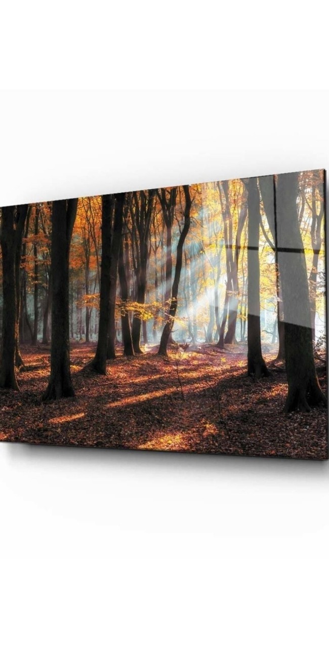 Doğa Manzara Cam Tablo 4mm Dayanıklı Temperli Cam