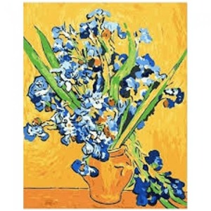 Van Gogh Süsen Sayılarla Boyama Seti Kasnaklı  40 x 50