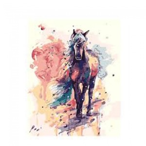  Düşlerdeki At Sayılarla Boyama Seti  Kasnaklı  40 x 50