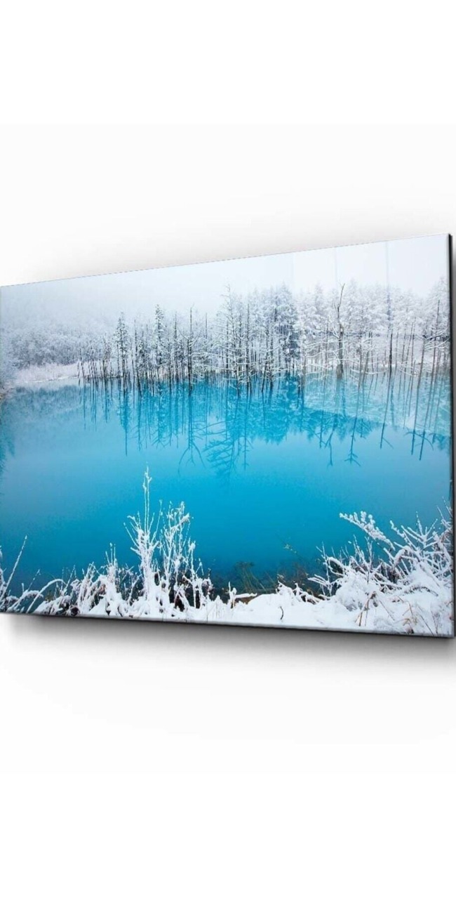 Doğa Manzara Cam Tablo 4mm Dayanıklı Temperli Cam