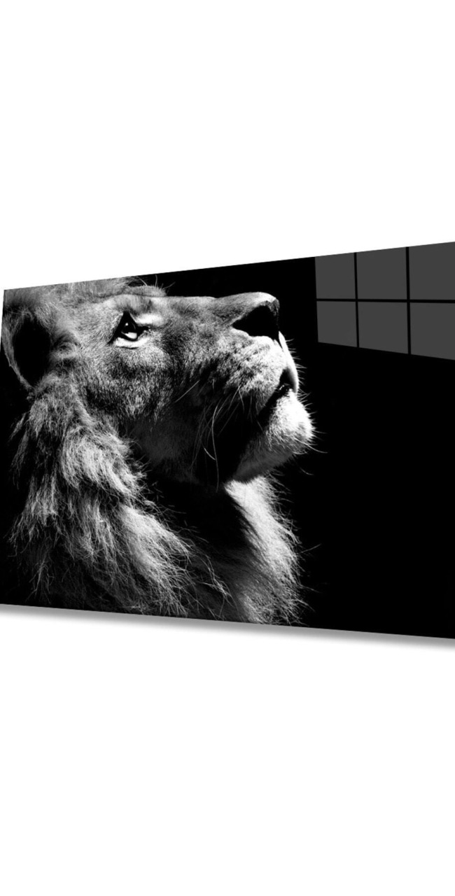 Aslan Hayvan Cam Tablo 4mm Dayanıklı Temperli Cam
