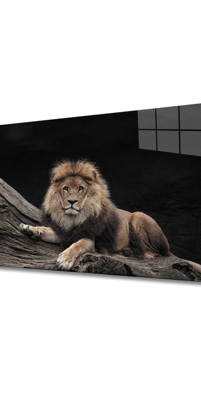 Aslan 12 Cam Tablo