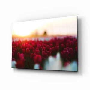 Doğa Manzara Cam Tablo 4mm Dayanıklı Temperli Cam