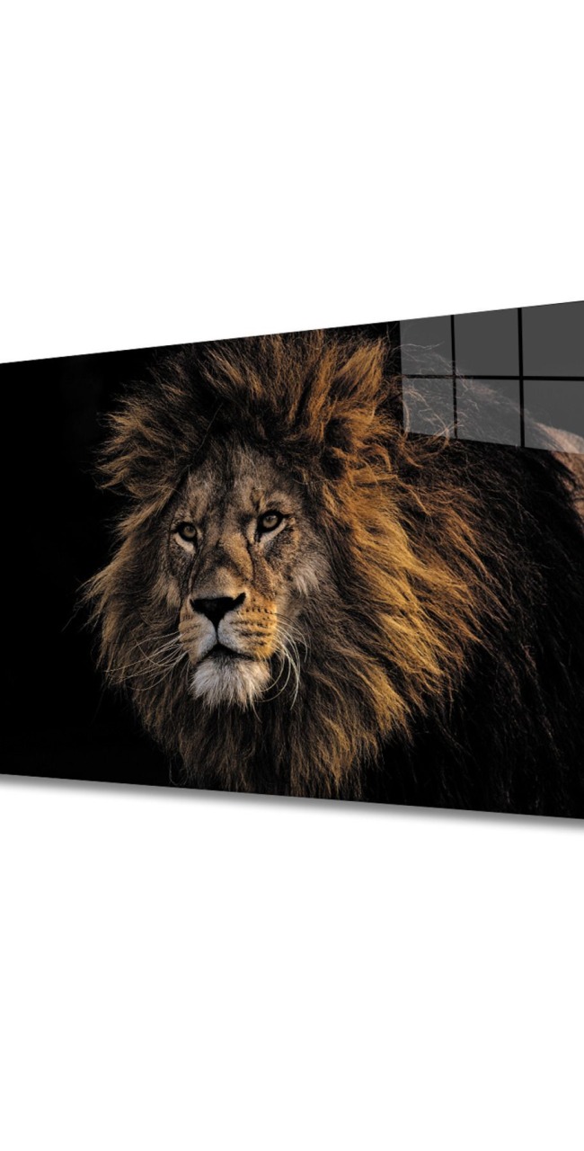 Aslan 9 Cam Tablo | Dekoratif Cam Tablo