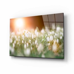 Doğa Manzara Cam Tablo 4mm Dayanıklı Temperli Cam