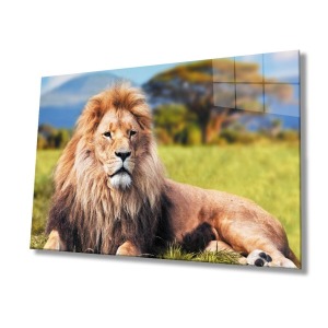 Aslan Hayvan Cam Tablo 4mm Dayanıklı Temperli Cam