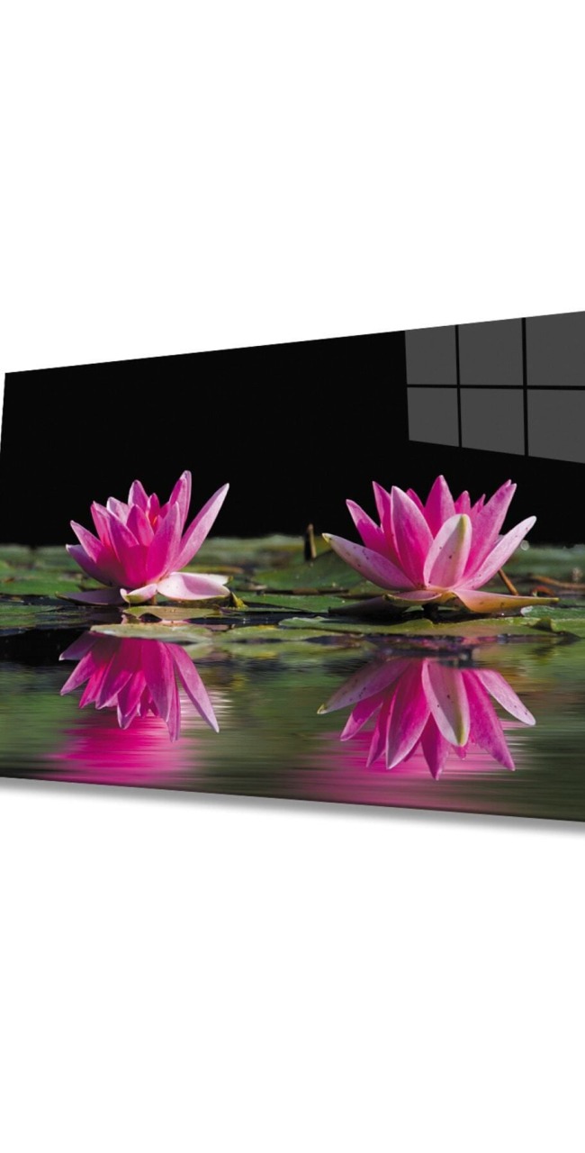 Lotus Çiçeği Cam Tablo 4mm Dayanıklı Temperli Cam