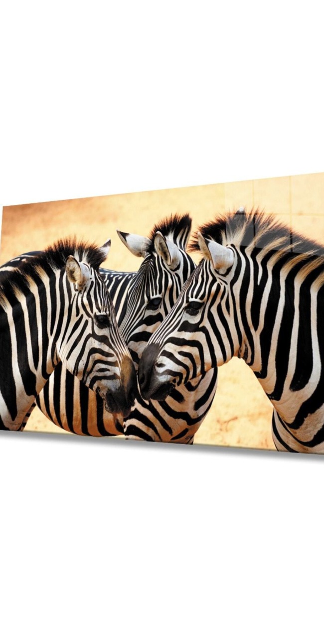 Zebra Hayvan Cam Tablo 4mm Dayanıklı Temperli Cam