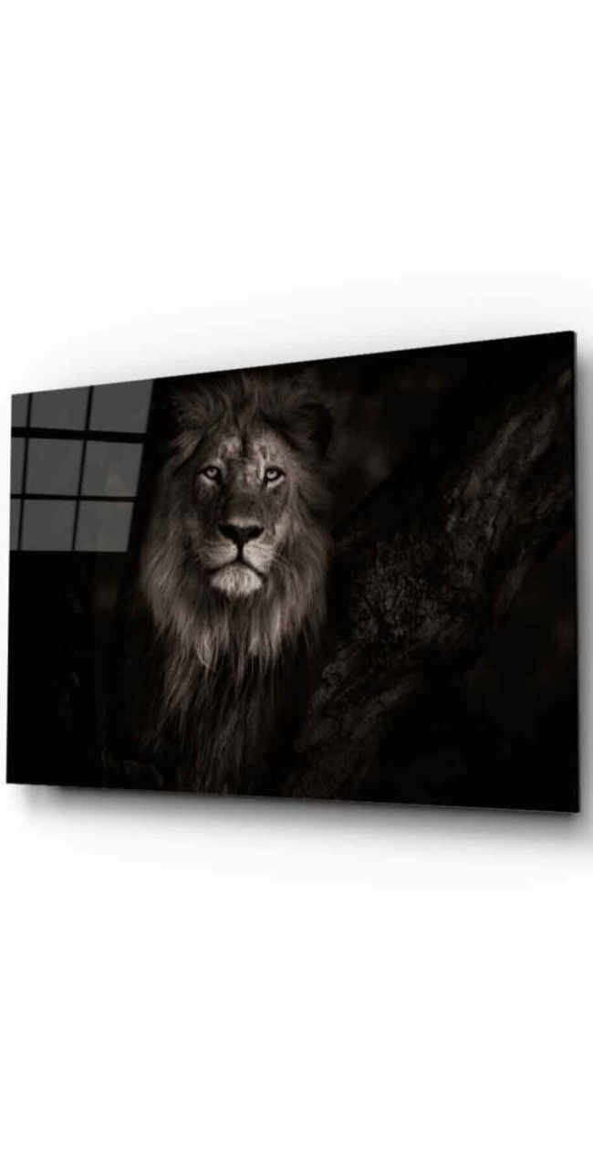 Aslan 25 Hayvan Cam Tablo