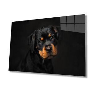 Köpek 6 Cam Tablo