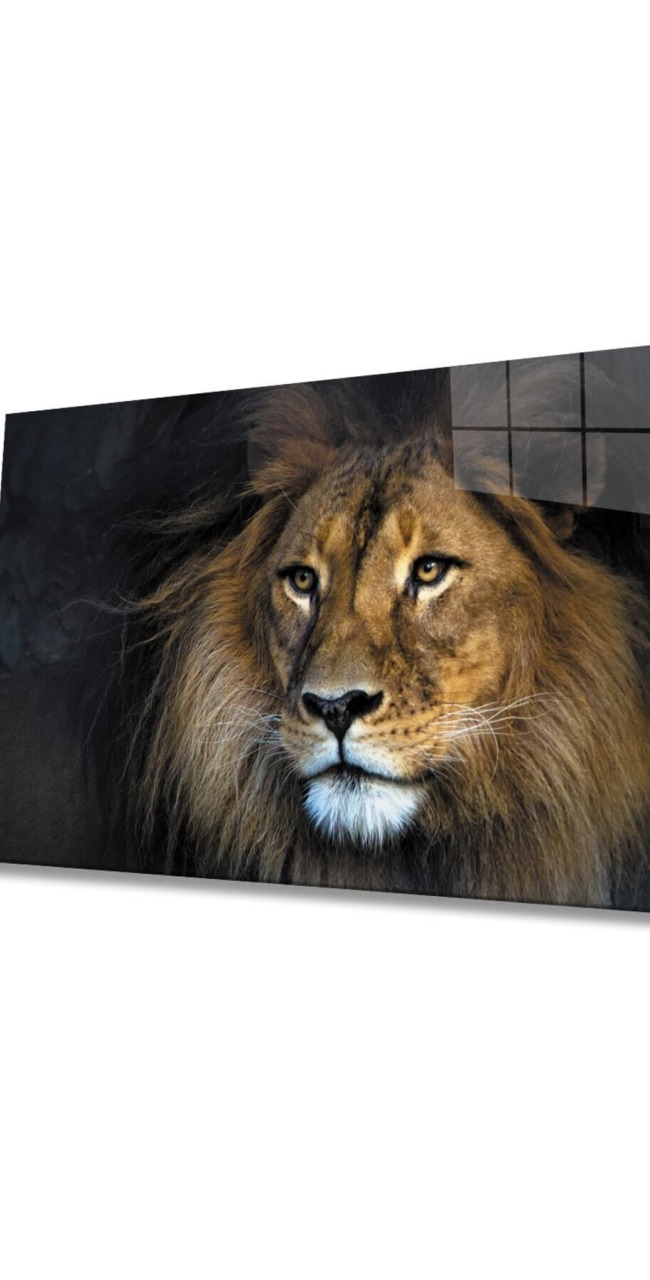 Aslan Hayvan Cam Tablo 4mm Dayanıklı Temperli Cam