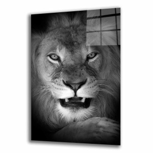 Aslan HayvanCam Tablo