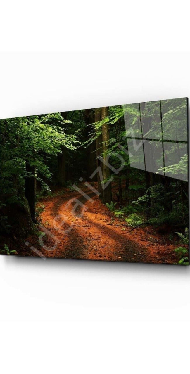 Doğa Manzara Cam Tablo 4mm Dayanıklı Temperli Cam