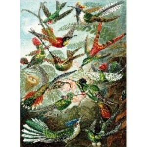  Yeşil Kuş Cenneti Sayılarla Boyama Seti Kasnaklı  40 x 50