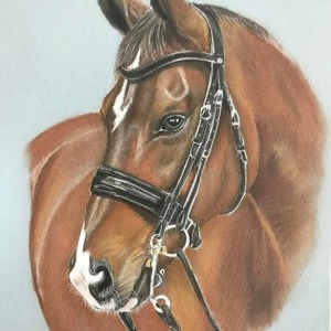  Düşlerdeki At Sayılarla Boyama Seti Kasnaklı  40 x 50