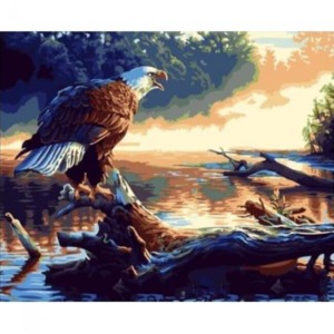  Göldeki Kartal Sayılarla Boyama Seti Kasnaklı  40 x 50