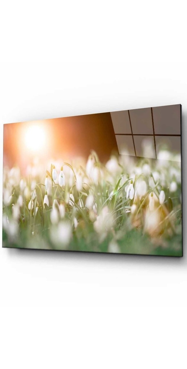 Doğa Manzara Cam Tablo 4mm Dayanıklı Temperli Cam