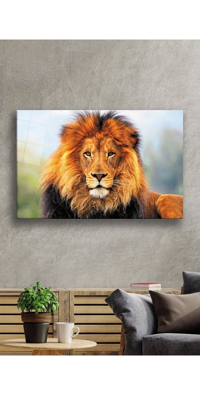 Aslan Hayvan Cam Tablo 4mm Dayanıklı Temperli Cam