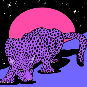  Uzaydaki Leopar Sayılarla Boyama Seti Kasnaklı  40 x 50