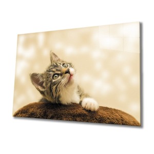 Kedi 3 Cam Tablo